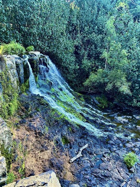 Hoopii Falls Trail - Kauai, Hawaii | AllTrails