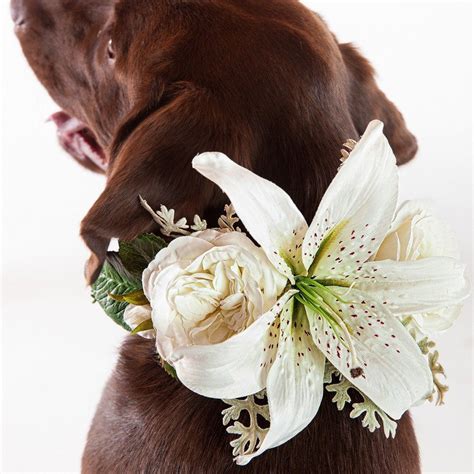 Lily Wedding Dog Collar Dog Wedding Wedding Dog Collar Dog Flower
