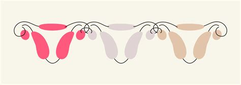 Menstrual Synchrony Do Girls Periods Really Sync