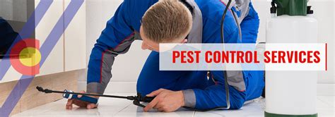 Pest Control Services In Denver Call Our Exterminators Today