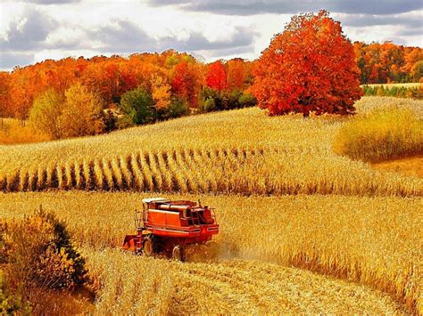 65 Fall Farm Harvest Wallpapers Download At Wallpaperbro Scenery