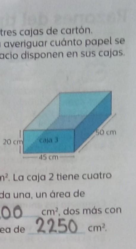 Completa En Un Grupo De Sexto Grado Se Han Organizado Para Decorar