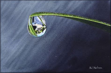 How To Paint Water Drops In Watercolor The Devon Artist