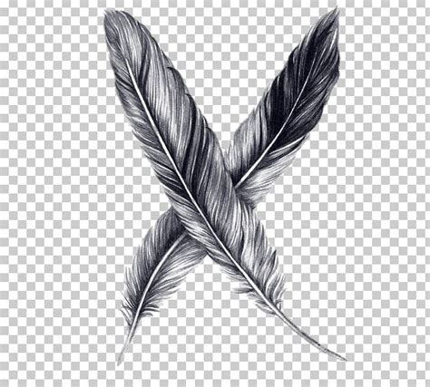 Feather animal стоковые фото, картинки и изображения. Drawing Feather Pencil Sketch PNG, Clipart, Animals, Art ...