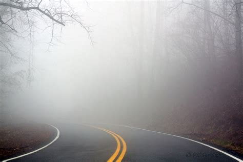 Traveling Down A Foggy Road