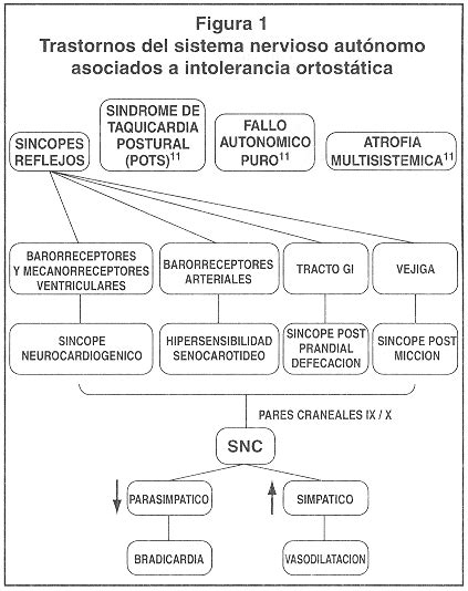 Simptome datorate hipoperfuziei cerebrale si. Síncope neurocardiogénico