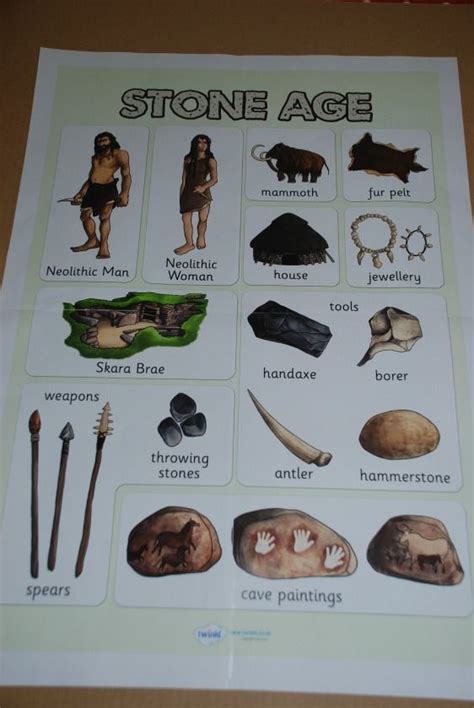 Introduction To The Stone Age Stone Age Display Stone Age Facts