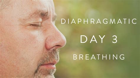 Diaphragmatic Breathing 1 Relax Day 3 Meditation Mindfulness And