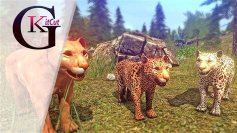 Furious Big Cats Simulator Gameplay For Kids Best Animal Killing Game