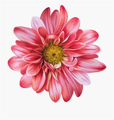 Free Realistic Flowers Cliparts Download Free Realistic Flowers