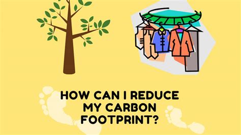 Simple Steps To Reduce Your Carbon Footprint Uc Davis Arboretum And