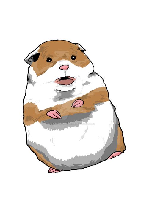 Surprised Hamster Meme Art By Emmanuelcenteno1993 On Deviantart
