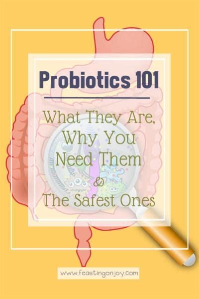Probiotics 101 What They Are Why You Need Them And The Safest Ones