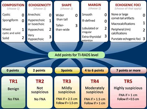 Classification Of Acr Tirads 2017 In Ultrasound Assessment Of Thyroid