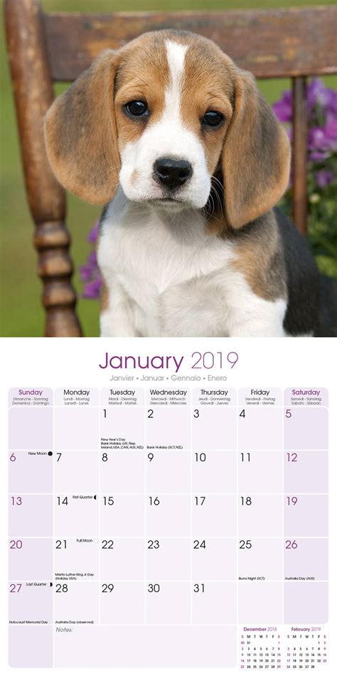 Beagle Calendar 2019 Pet Prints Inc