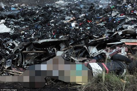 malaysia airlines passenger plane mh17 shot down in ukraine near russian border [exclusive