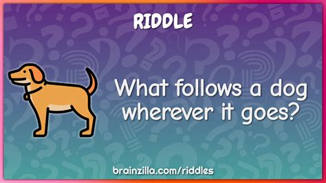 Top 161 Easy Animal Riddles With Answers
