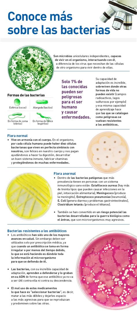 Lo Que Debes Saber Sobre Las Bacterias Seguros Sura Colombia The