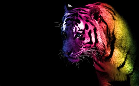 Rainbow Tiger By Fire Nekoyasha On Deviantart