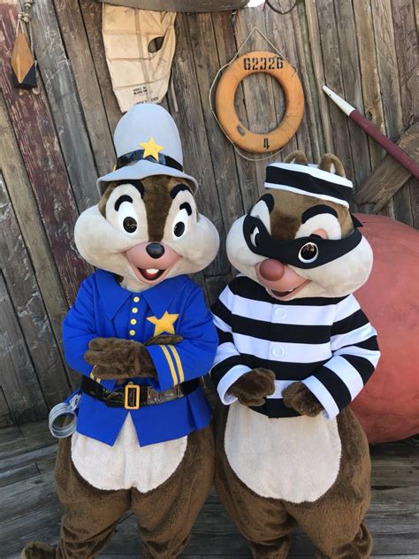 Chip And Dale Copy And Robber Halloween Costumes Disney Halloween
