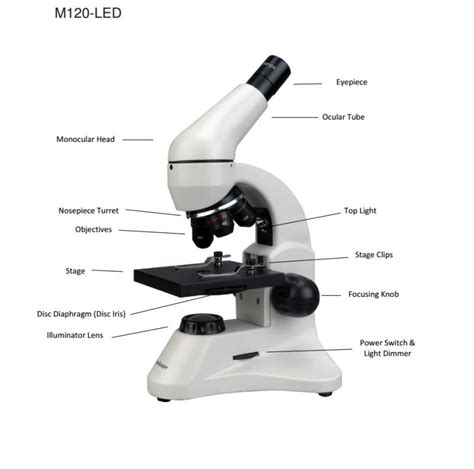 Components Of Compound Microscope Pohprovider