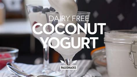 Dairy Free Coconut Yogurt Paleo Recipe Youtube