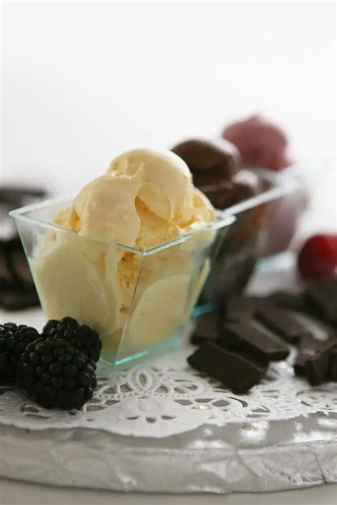 Vanilla Soy Ice Cream Recipe Serving Ice Cream