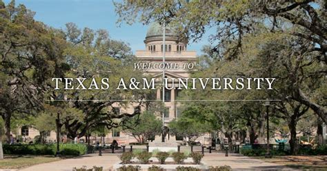 texas a and m university college station campus main university and colleges details pathways