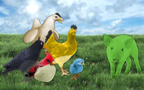 Angry Birds Real By Camil1999 On Deviantart