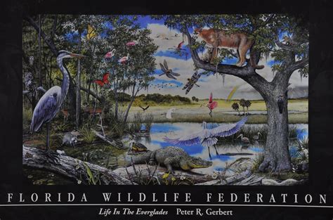 Gerbert Peter Life In The Everglades 24x36 Poster Everglades
