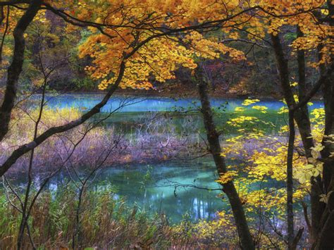 Blue Lake Goshikinuma Fukushima Japan Autumn Scenery