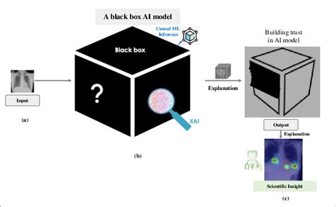 Ai Black Box Model Algorithms Like Explainable Ai Feature