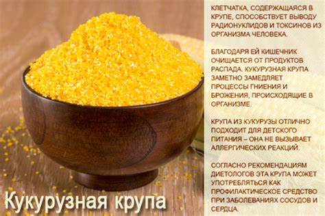 Диета и кукурузная крупа Кукурузная крупа - калорийность, полезные свойства, польза и вред Кукурузная крупа - калорийность, полезные свойства, польза и вред Диета и кукурузная крупа