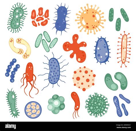 Biology Microorganisms Biological Virus Bacteria Disease Microbes