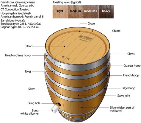 Everything You Wanted To Know About Oak Wine Barrel Wine Wine Facts