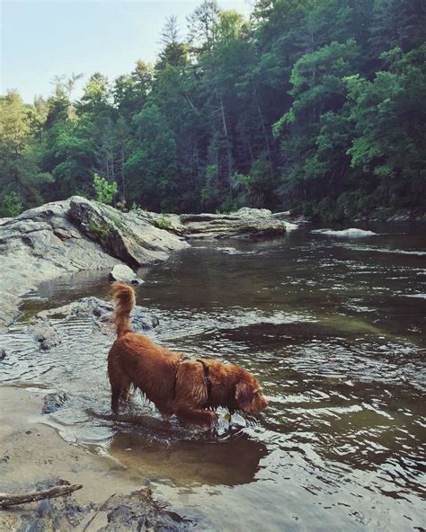 National award winning · 1000s of reviews & photos · no booking fees Sumter National Forest camping