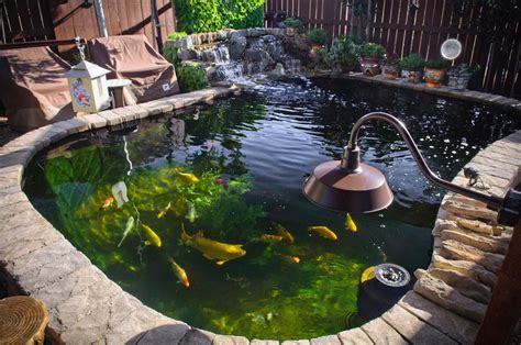 30 Marvelous Diy Above Ground Koi Pond Home Decoration And