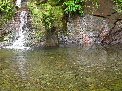 dominica s waitukubuli national trail wnt learn about dominica s heritage while you trek