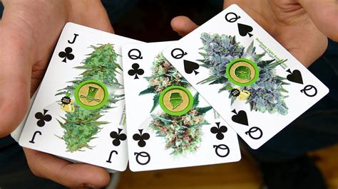 Cannabis Playing Cards Youtube