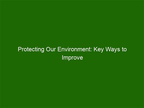 Protecting Our Environment Key Ways To Improve Environmental Health