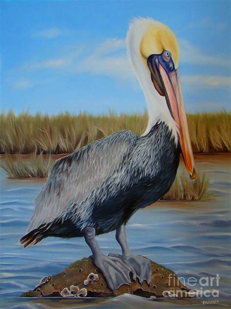 Pelican Paintings
