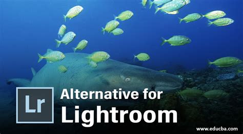 When first starting up luminar you. Alternative for Lightroom | Top 5 Alternatives for ...