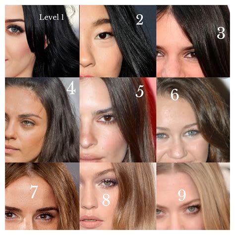 I Made A Chart Of Hair Levels Using Female Celebs For My Friend Because
