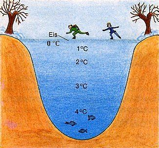 Kennt ihr beispiele für die anomalie des wassers? Prof. Blumes Medienangebot: Wasser und Leben