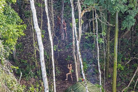 uncontacted tribe in the amazon captured in photos