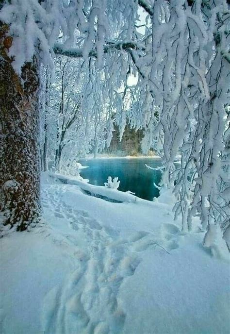 So Beautiful So Peaceful Winter Scenery Winter Landscape Winter