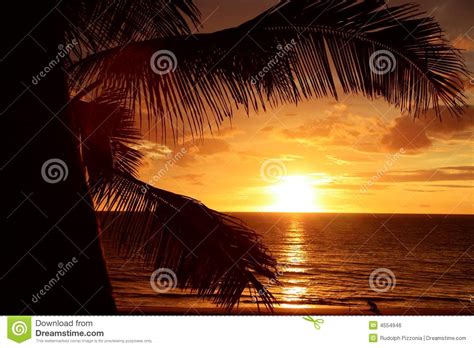 Golden Tropical Sunset Stock Photo Image Of Beach Oahu 4554946
