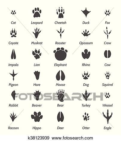 Maybe you would like to learn more about one of these? Tierspuren Abbildungen - Tierspuren Atrium / Tierspuren im ...