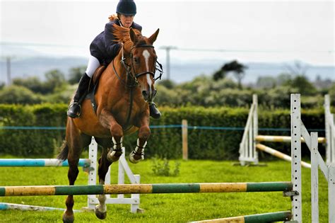 Free Images Show Jumping Hunt Seat Human Action English Riding