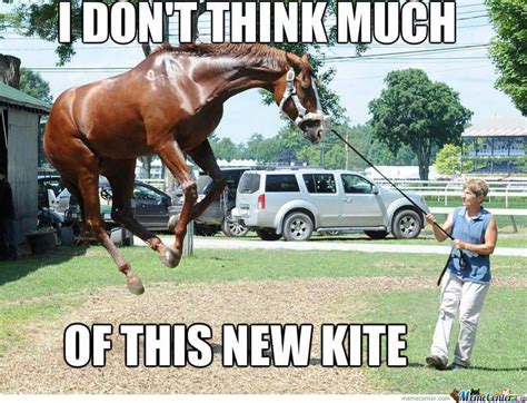 39 Hilarious Horse Memes Images S Photos And Pictures Picsmine